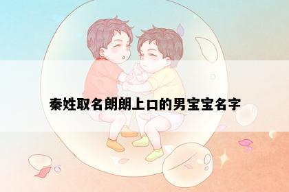 秦姓取名朗朗上口的男宝宝名字